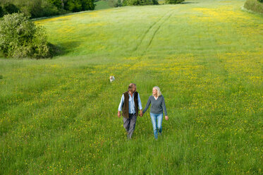 High angle view of man and woman walking hand in hand across a meadow. - MINF05591