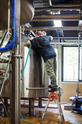 Man working in a brewery adjusting and checking the machinery which transfers the brewed beer around the processing plant. - MINF05639