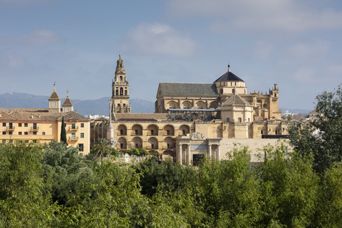 Spanien, Andalusien, Cordoba, Altstadt, Moschee-Kathedrale, lizenzfreies Stockfoto