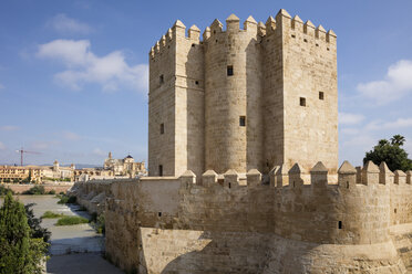 Spanien, Andalusien, Cordoba, Puente Romano, Torre de la Calahorra - WIF03542