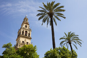 Spanien, Andalusien, Cordoba, Torre del Alminar der Moschee-Kathedrale und Palmen - WIF03544