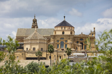 Spanien, Andalusien, Cordoba, Moschee-Kathedrale - WIF03551