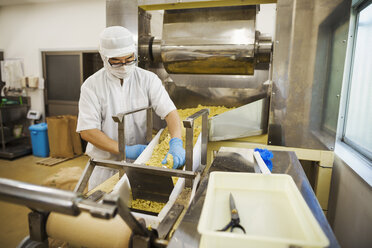 Arbeiter mit Schürze und Hut und blauen Handschuhen nehmen frisch geschnittene Soba-Nudeln vom Förderband. - MINF05742