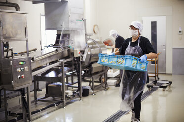 Arbeiter in einer Fabrik zur Herstellung von Soba-Nudeln - MINF05744