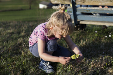 Mädchen pflückt Blumen auf einer Wiese - JLOF00204