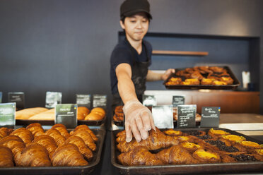 Man working in a bakery, placing freshly baked croissants on large trays. - MINF05925