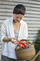 Eine lächelnde Frau steht im Freien und hält einen Korb mit frisch gepflückten Tomaten in der Hand. - MINF05953