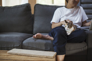 Mann auf grauem Sofa sitzend, Kattun-Katze mit weißem, schwarzem und braunem Fell auf seinem Schoß. - MINF05954