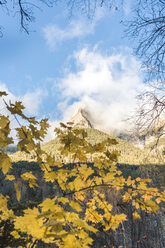 Spanien, Ordesa y Monte Perdido Nationalpark, Herbstlaub - AFVF01296