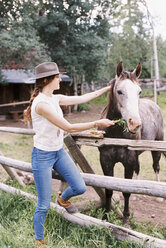 Frau füttert ein Pferd auf einer Koppel auf einer Ranch. - MINF06033