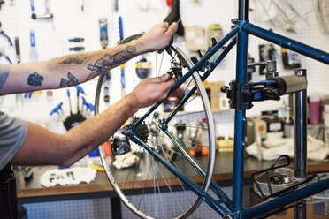 A man working in a bicycle repair shop. - MINF06297