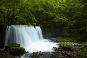 Langzeitbelichtung eines felsigen Wasserfalls, umgeben von Bäumen mit üppig grünem Laub. - MINF06481
