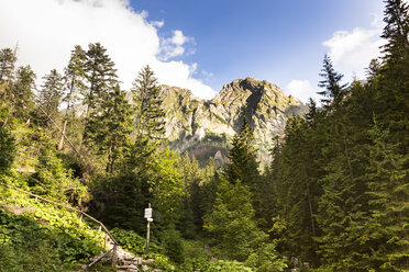 Polen, Hohe Tatra, Tatra, Tatra-Nationalpark, Blick auf Rysy - FCF01420