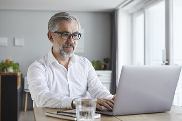 Porträt eines reifen Mannes, der zu Hause einen Laptop benutzt - RBF06466