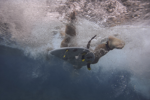Malediven, Indischer Ozean, Surfer auf Surfbrett, Unterwasseraufnahme, lizenzfreies Stockfoto