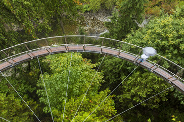 Blick von oben auf eine geschwungene Hängebrücke über die Baumkronen eines Waldes. - MINF06552