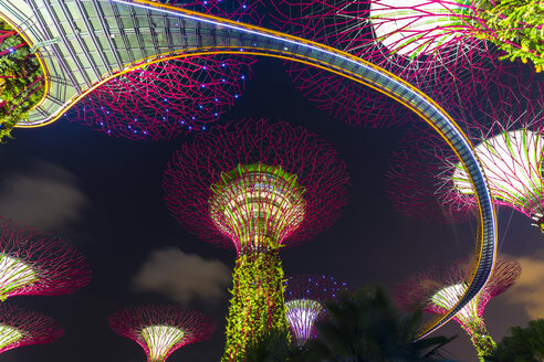Niedriger Blickwinkel auf den beleuchteten Supertree Grove in den Gardens by the Bay, Singapur bei Nacht. - MINF06606