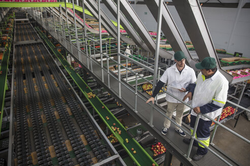 Arbeiter unterhalten sich in einer Apfelfabrik - ZEF15917