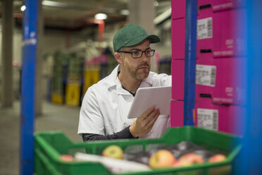 Worker checking apple stock - ZEF15936