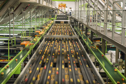 Apple factory, sorting machine stock photo