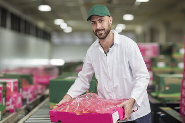 Arbeiter beim Verpacken von Apfelkisten - ZEF15947