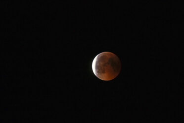 Germany, blood moon - JTF01031