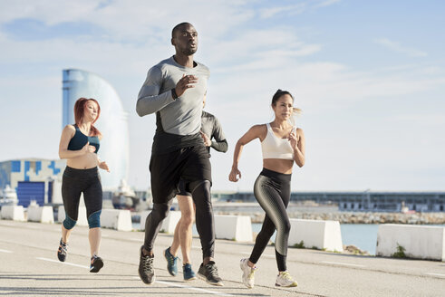 Gruppe von Sportlern beim Joggen am Hafen - JNDF00028