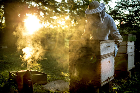 Beekeeper wearing a veil holding a beehive with a smoker for calming bees on the ground. - MINF06656