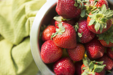 Im Sommer draußen, auf dem Bauernhof. Eine Schale mit frisch gepflückten Bio-Früchten, Erdbeeren. - MINF06743