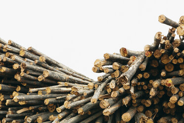 A stack of cut timber logs, Lodge Pole pine trees at a lumber mill. - MINF06755