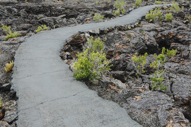 Ein gepflasterter Weg durch die Lavafelder des Craters of the Moon National Monuments und Reservats in Butte County, Idaho, mit wachsenden Salbeibuschpflanzen. - MINF06756