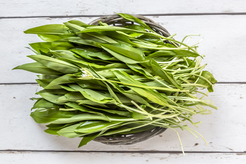 Ramson, lizenzfreies Stockfoto