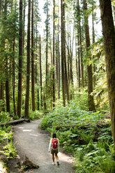 Ein Wanderer geht einen Weg durch einen Wald mit grünen Farnen, dichtem Moos und großen Bäumen. - AURF00016