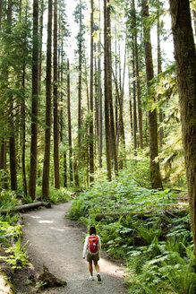 Ein Wanderer geht einen Weg durch einen Wald mit grünen Farnen, dichtem Moos und großen Bäumen. - AURF00016