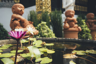 Thailand, Chiang Mai, Buddha-Statuen und Seerosenteich im Wat Inthakhin Sadue Muang-Tempel - GEMF02258