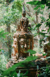 Thailand, Chiang Mai, Buddhistische Statue inmitten des Dschungels im buddhistischen Tempel Wat Pha Lat - GEMF02269