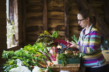 A woman handling organic produce in a farm shop. - MINF07373