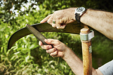 A gardener working sharpening a curved metal scythe blade with a file. - MINF07398