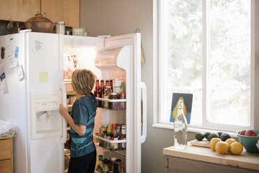 Familie bereitet das Frühstück in einer Küche vor, Junge steht am offenen Kühlschrank. - MINF07419