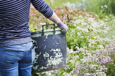 Eine Frau trägt einen großen Garteneimer durch die Blumen in einem Blumenbeet. - MINF07439