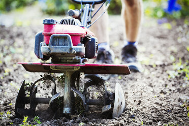 Ein Mann bearbeitet den Boden in den Blumenbeeten eines Biogartens mit einem Rotivator. - MINF07442
