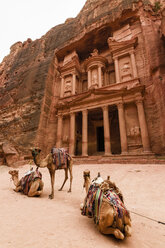 Außenansicht der in den Fels gehauenen Architektur von Al Khazneh oder der Schatzkammer in Petra, Jordanien, Kamele im Vordergund. - MINF07494