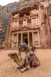 Außenansicht der in den Fels gehauenen Architektur von Al Khazneh oder der Schatzkammer in Petra, Jordanien, Kamele im Vordergund. - MINF07498