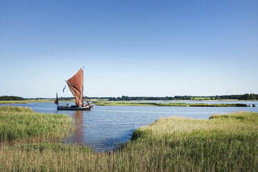 Traditionelles Segelboot mit roten Segeln und Gaffeltakel, das auf dem Wasser in einem Schilfgürtel oder einer Flussmündung gesegelt wird. - MINF07691