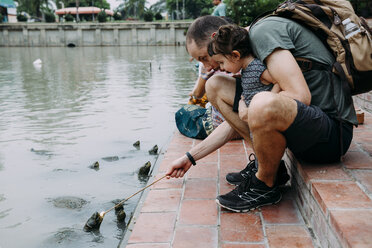 Thailand, Bangkok, Ayutthaya, Vater und Tochter füttern Schildkröten - GEMF02291