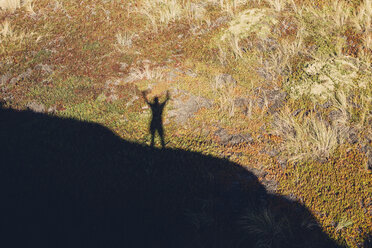 High angle view of shadow of man with raised arms, standing on hill above landscape covered with ice plant. - MINF07774