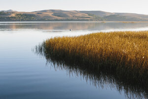 Landschaft mit Bucht und offenen Sumpfgebieten, Hügeln in der Ferne. - MINF07776