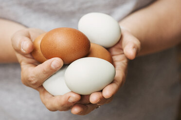 A woman holding hands full of fresh brown and white eggs. - MINF07781