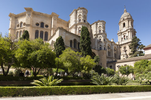 Spanien, Andalusien, Malaga, Kathedrale von Malaga - WIF03559