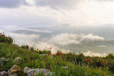 Albanien, Bezirk Fier, Blick vom Byllis, Landschaft und Morgennebel - SIEF07853